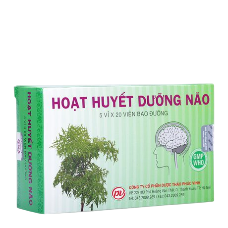Hoạt huyết dưỡng não phúc vinh (h/100v)